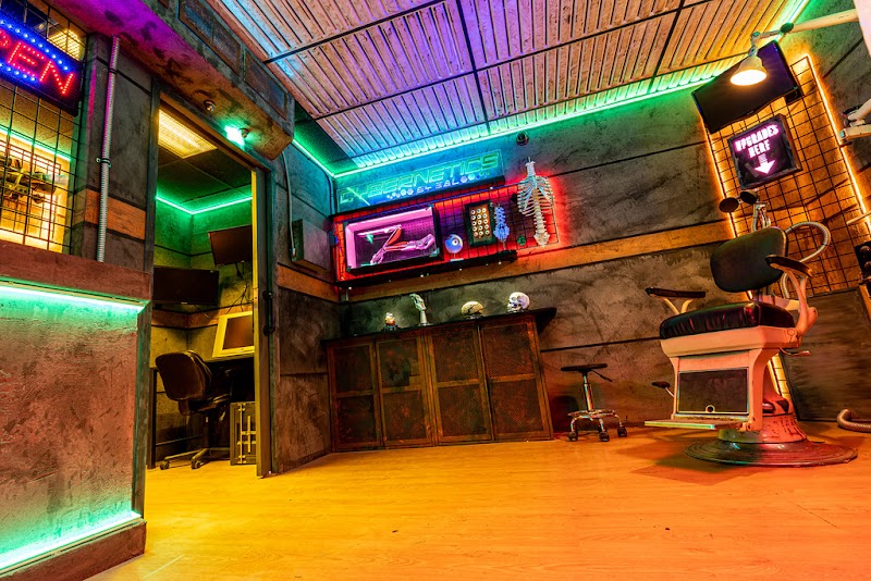 The Immersive Machine cover image