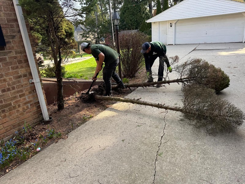 Landscaping Pro LLC cover image