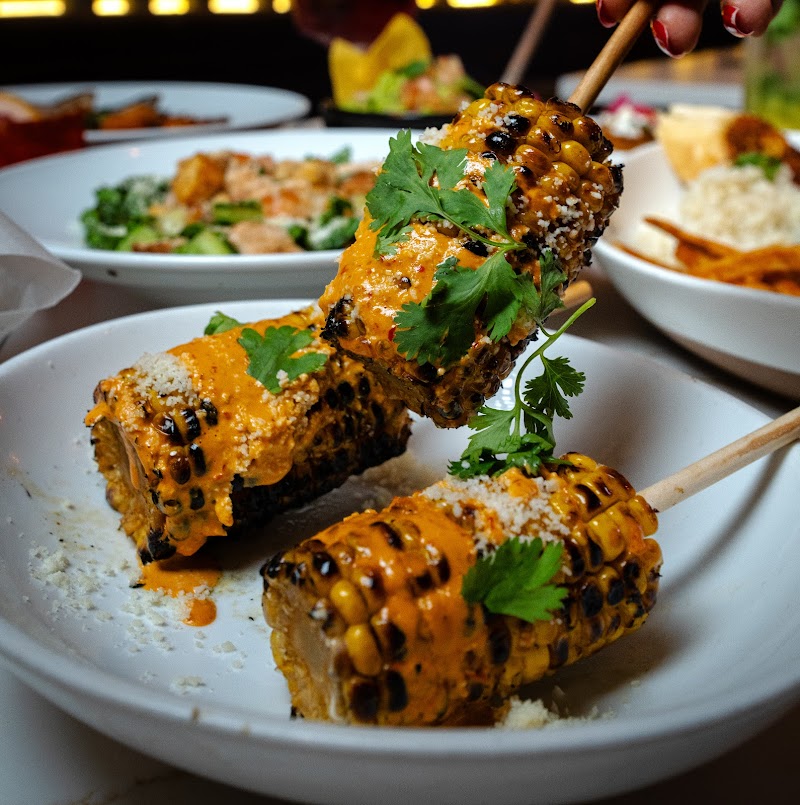 Casa Tulum cover image