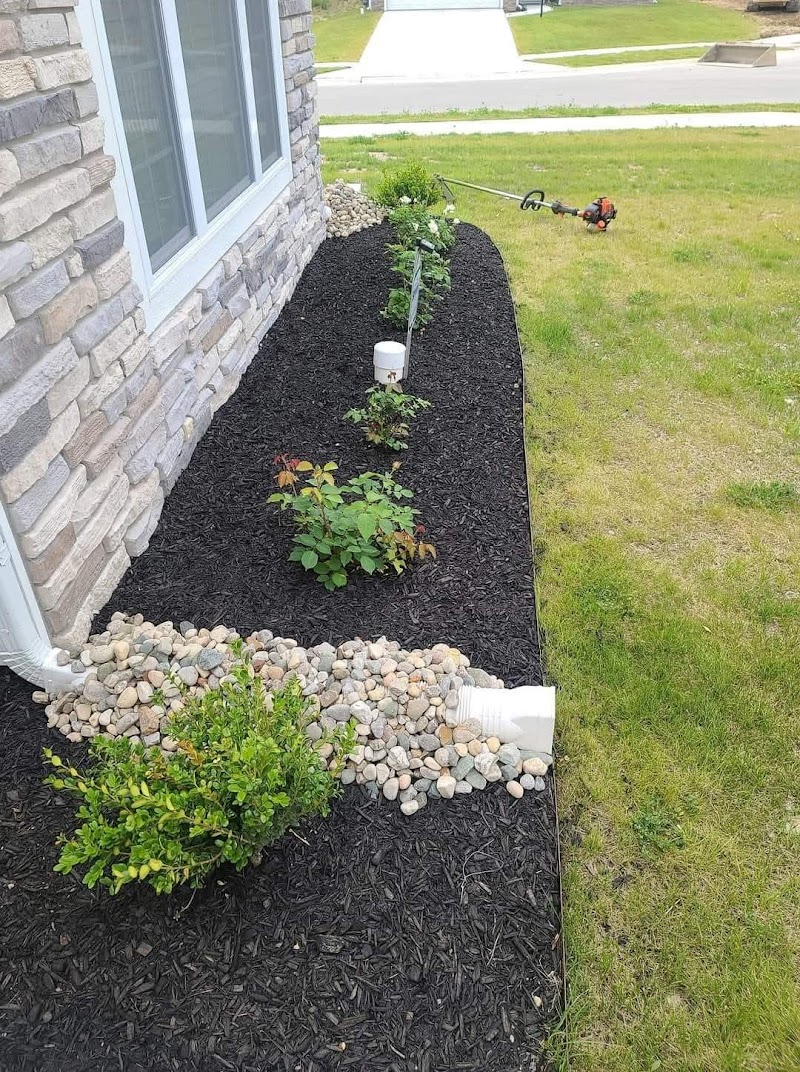 All Lawn Care Service & landscaping LLC cover image