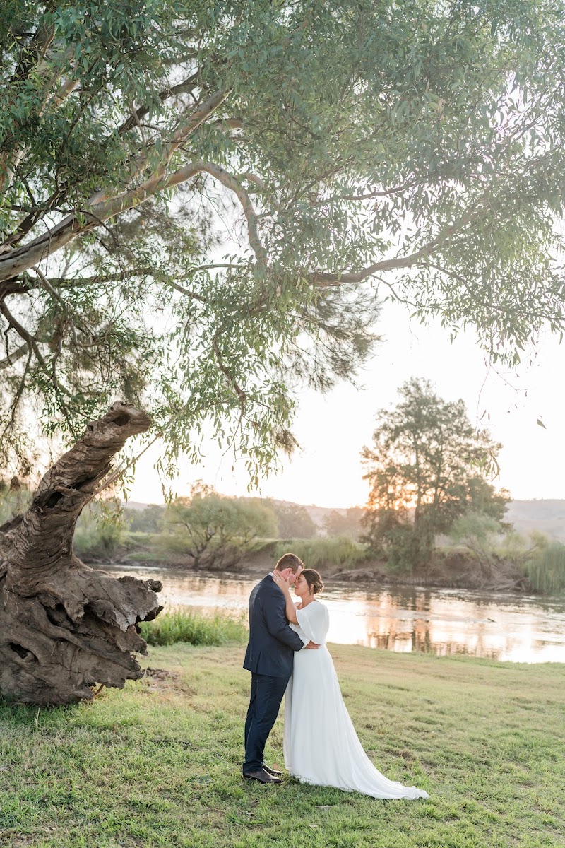 Zinette Hopper Photography cover image