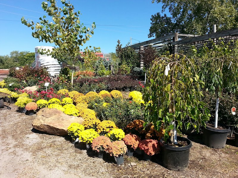 Jerry's Nursery & Landscaping cover image