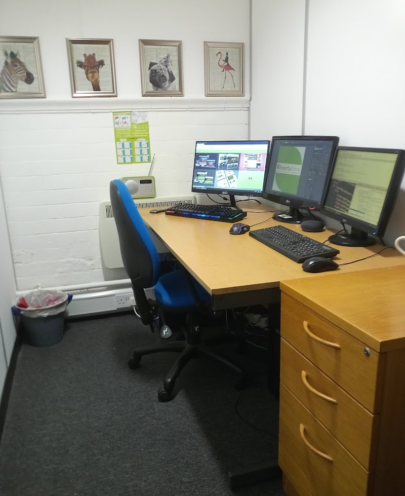 The Cheerful Lime Ltd cover image