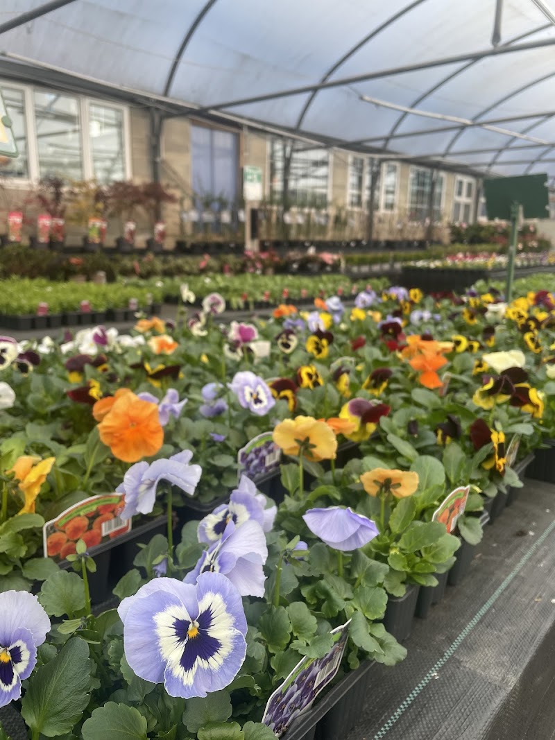 High Trees Garden Centre cover image