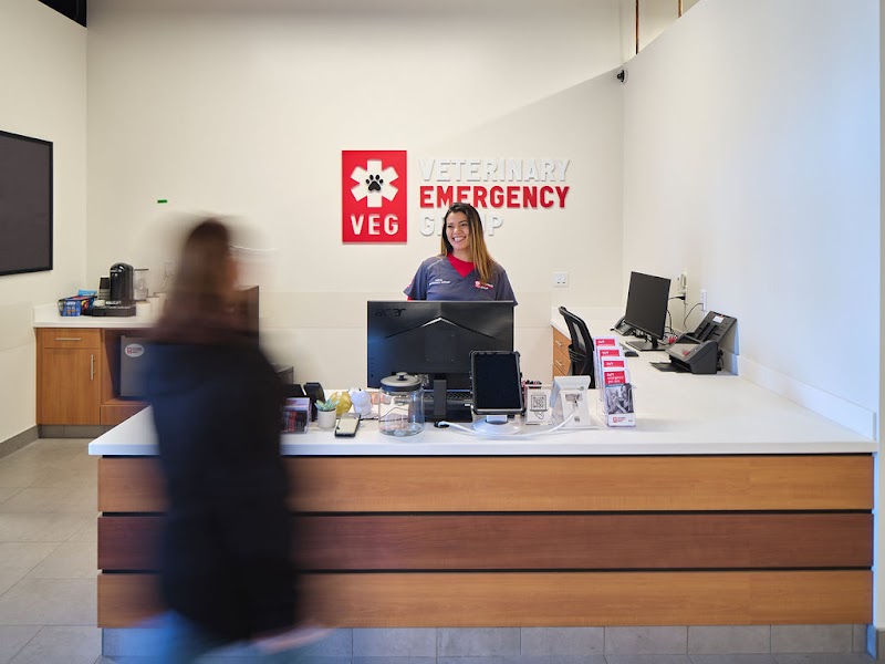 Veterinary Emergency Group cover image