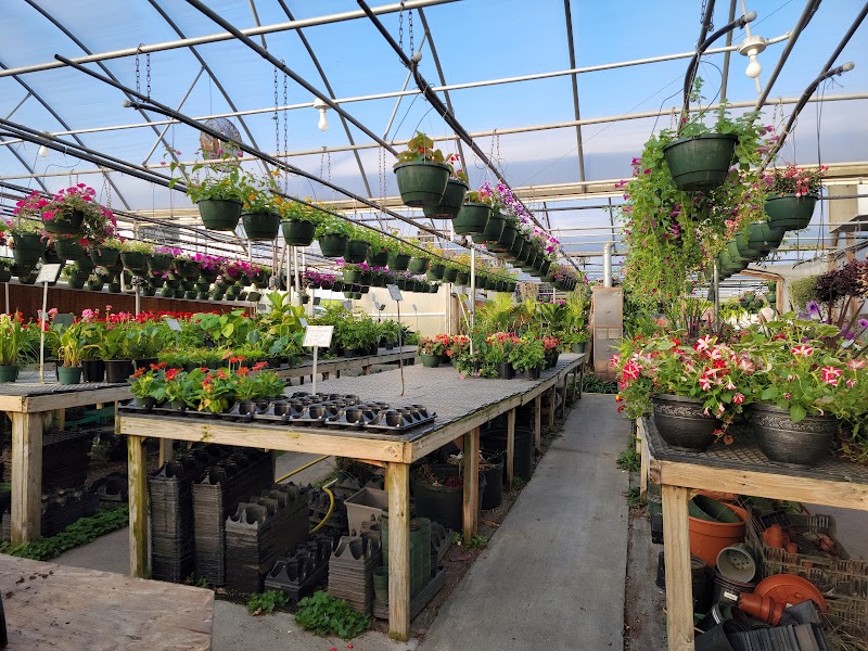 Myers Greenhouse cover image