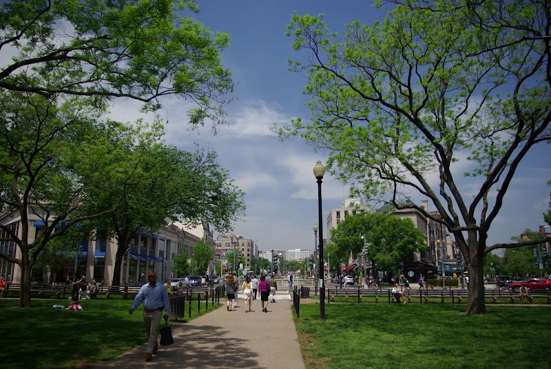 Carolyn Goodman, Attorney at Law cover image