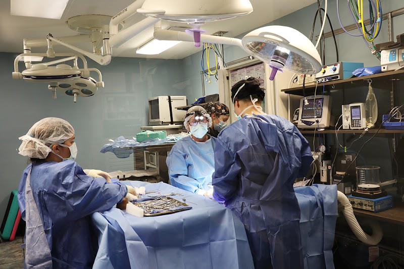 BluePearl Pet Hospital cover image