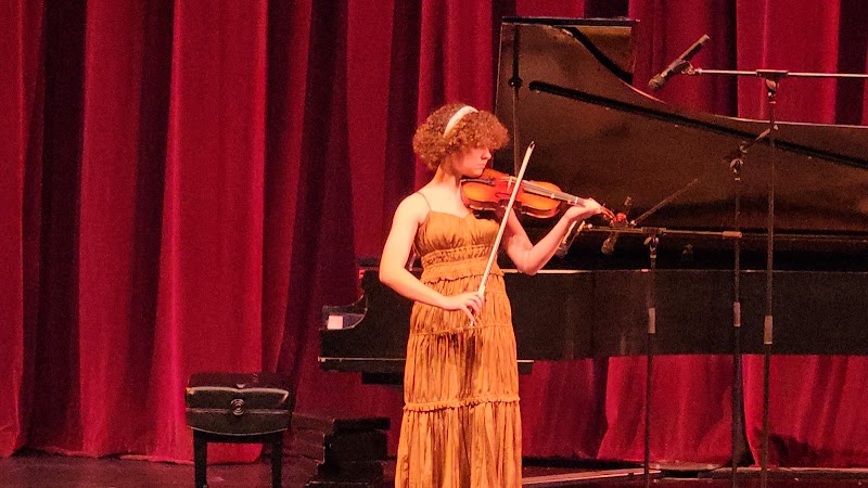 Irving Fine Arts Academy cover image