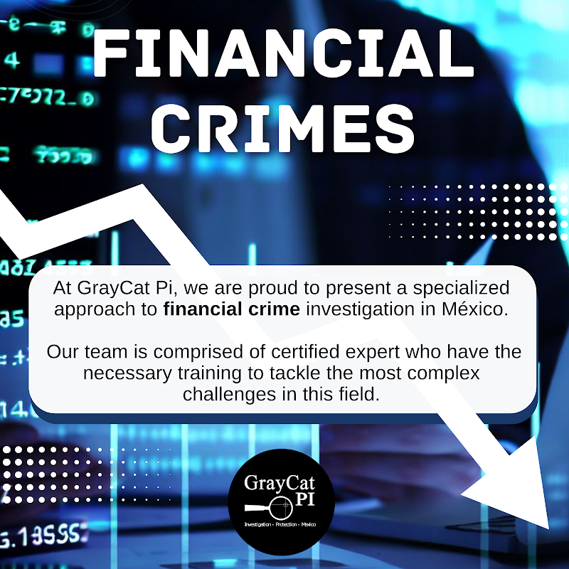 GrayCat PI, Corp cover image