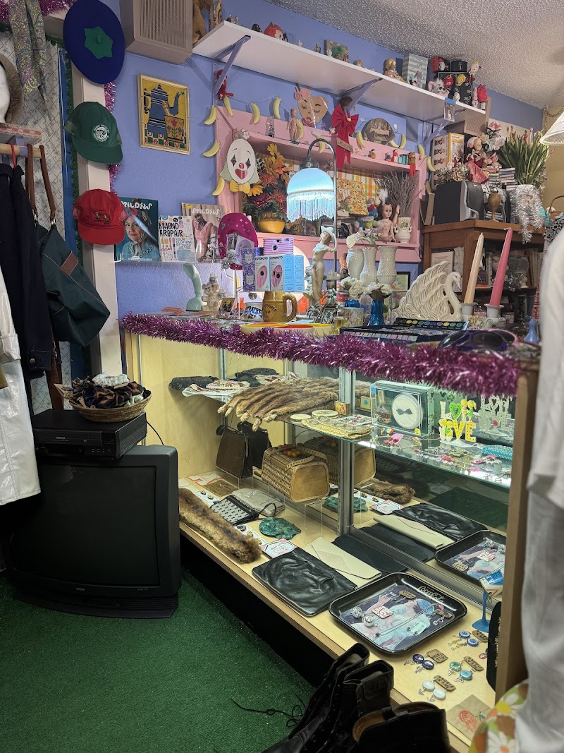 Thigh Hi Vintage cover image