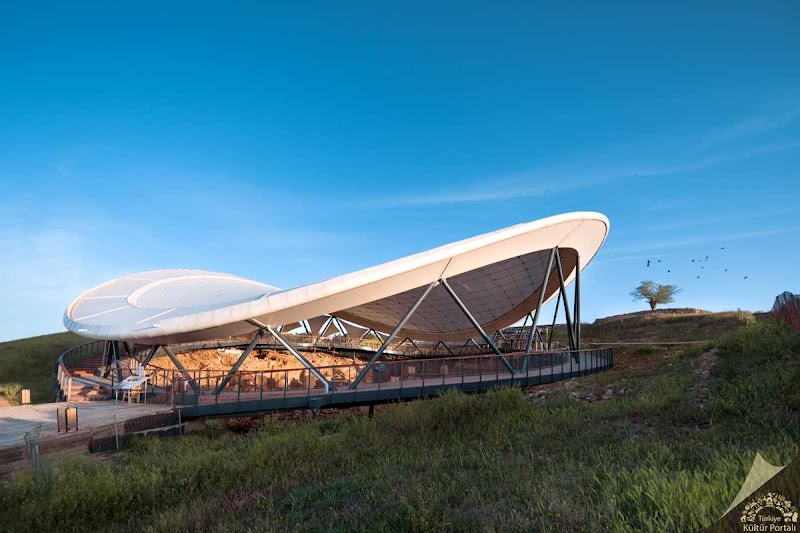 Atlas Global Tours cover image