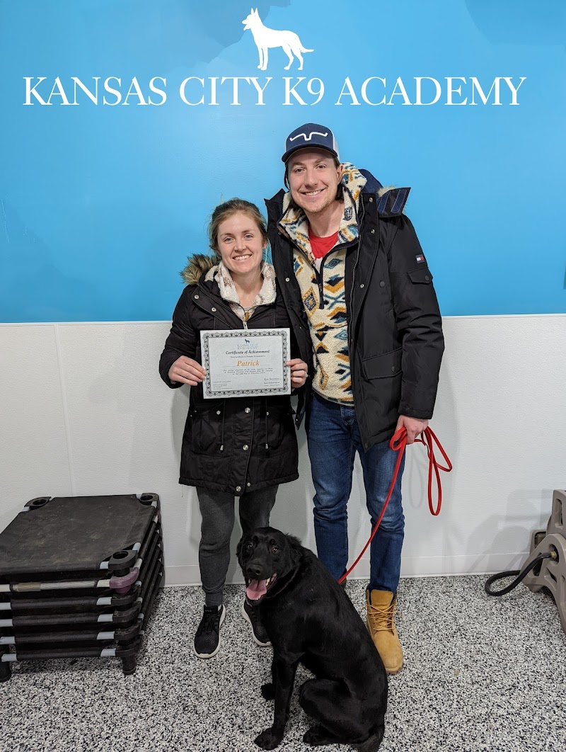 Kansas City K9 Academy - Dog Training & Boarding cover image