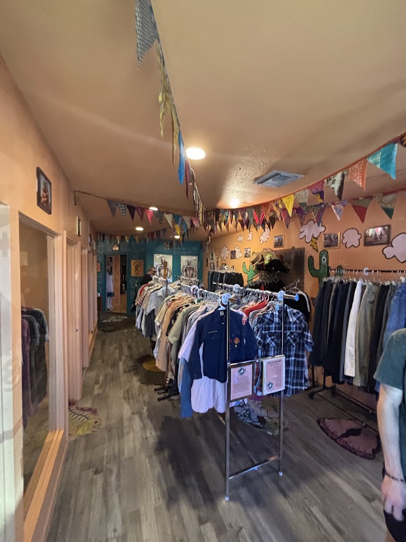 King Pigeon Thrift & Vintage cover image