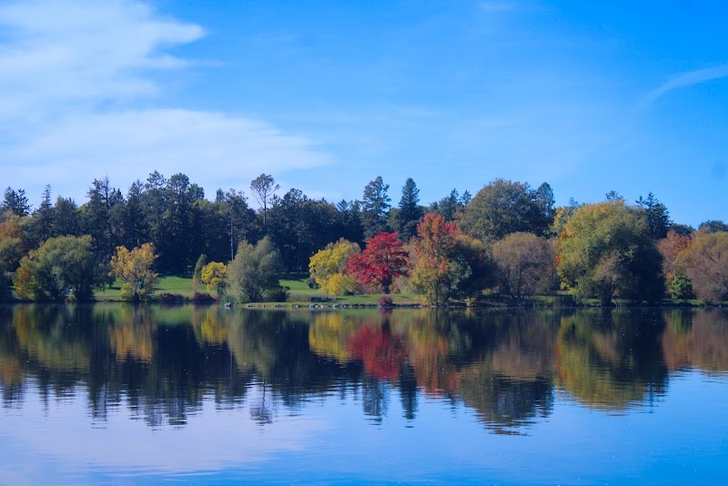 Dows Lake Pavilion cover image