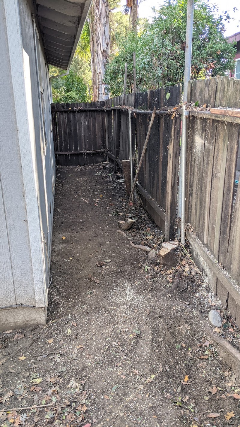 Bailey Tree Company cover image