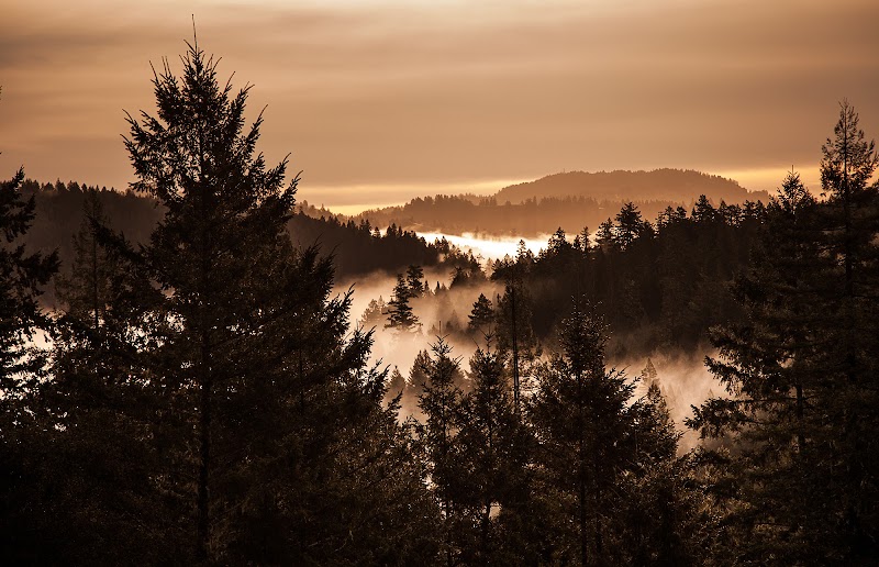 Ratna Ling Retreat Center cover image