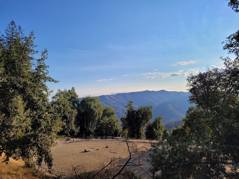 Los Gatos Farms cover image