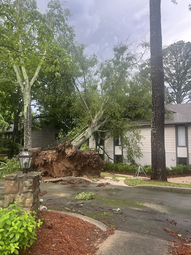 Log and Leaf Tree Service cover image