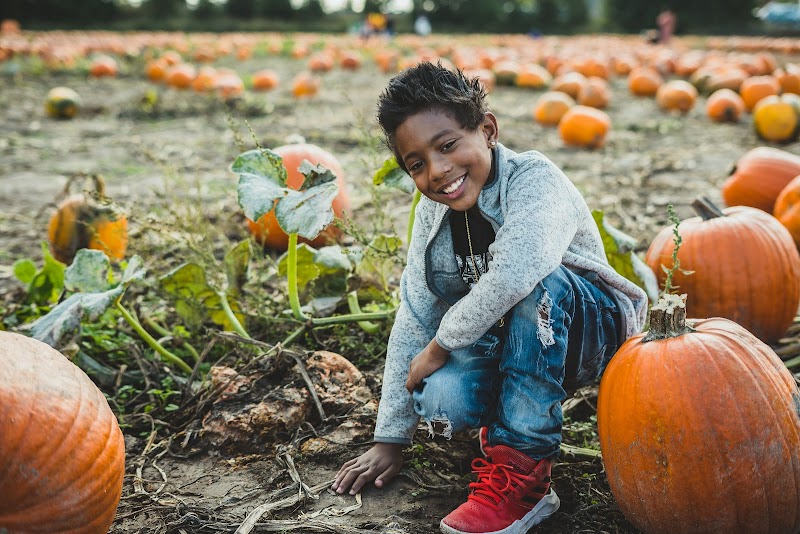 GrandRYZE Productions cover image