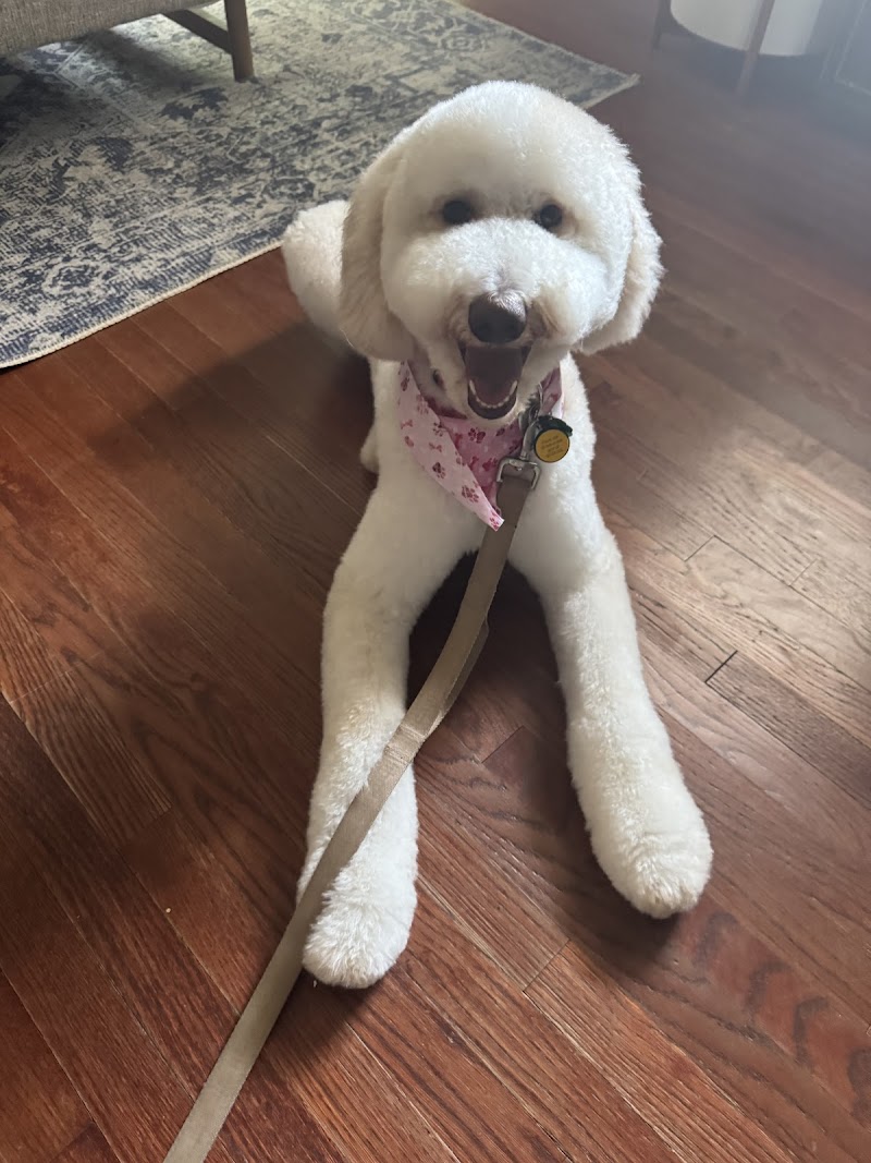 Barkin' Creek Dog Kitchen & Bath - Lamar cover image