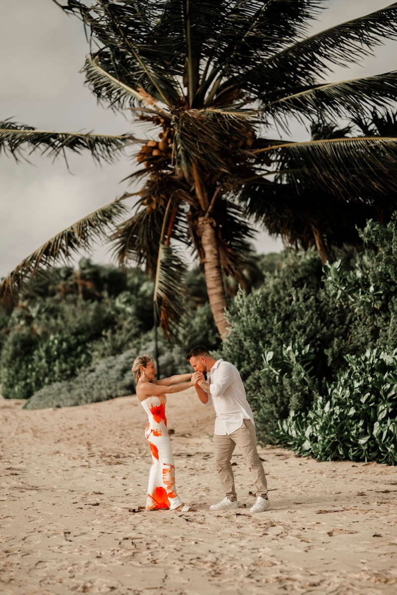 Danielle Blancher Photography cover image