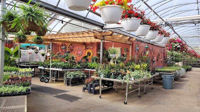 DeMonye's Greenhouse cover image