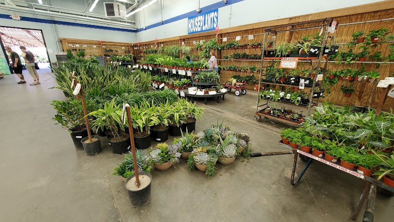 Star Nursery Garden Center cover image