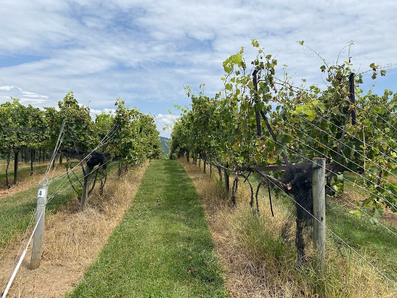 Kaya Vineyard & Winery cover image