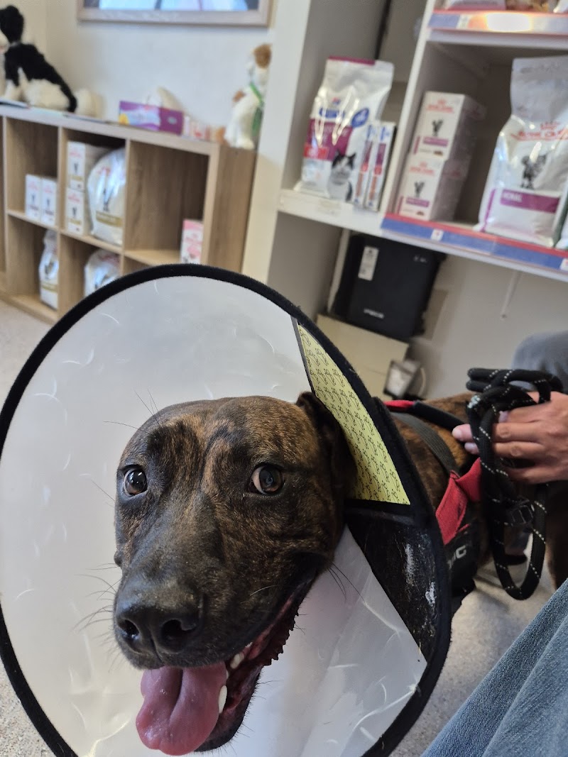 Cardiff Veterinary Hospital cover image