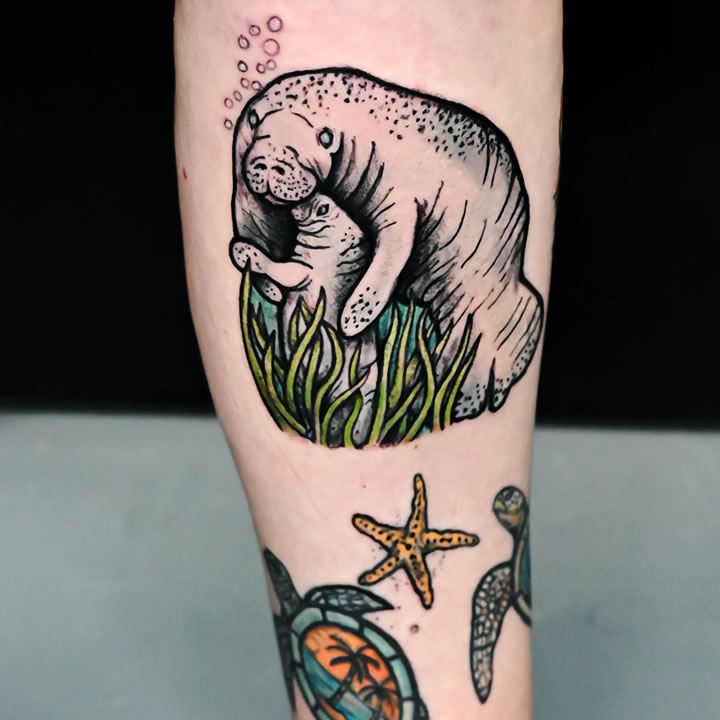 Phoebus Tattoos & Piercings cover image