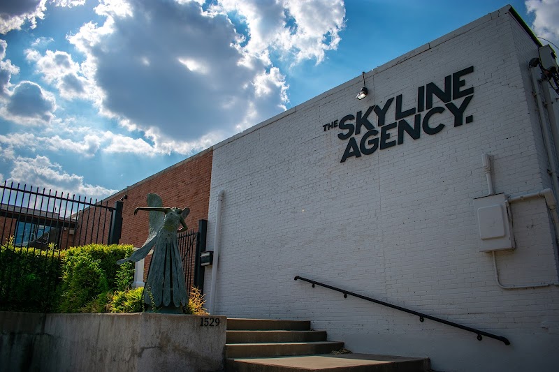 The Skyline Agency cover image