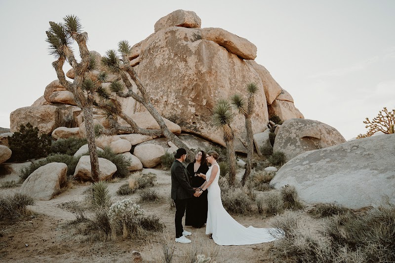 Let's Get Married by Marie cover image