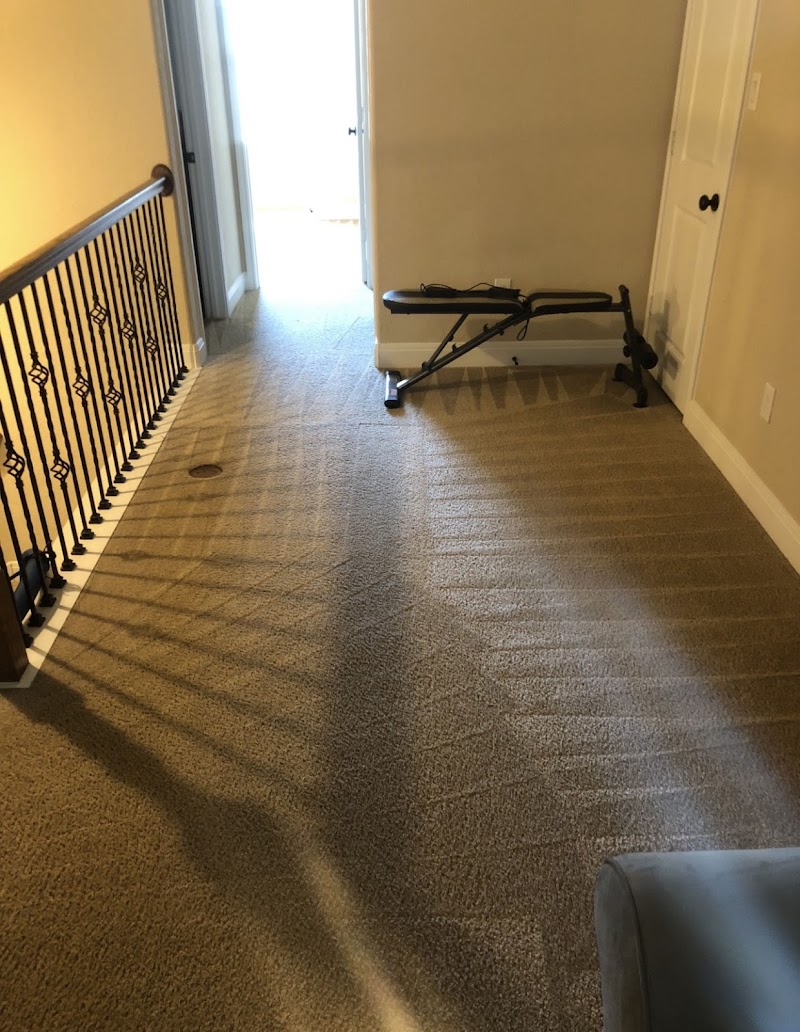 Stay Fresh Steam Cleaning cover image