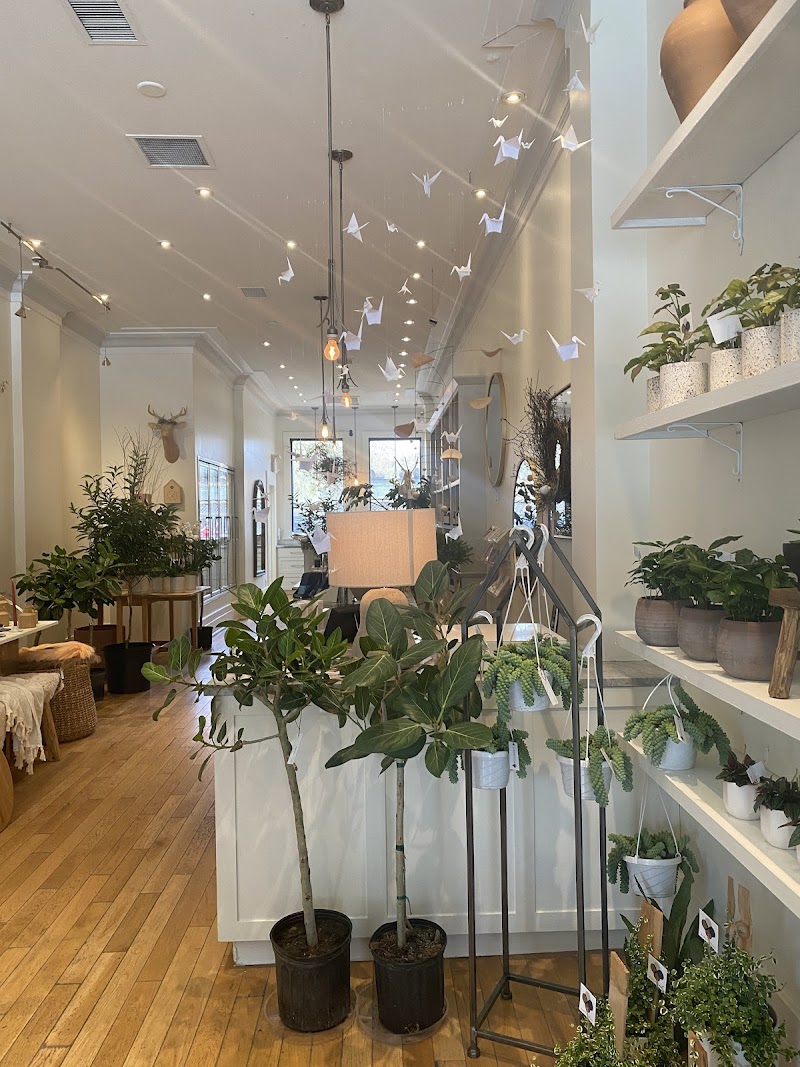 Bloomfields Flowers Glebe cover image