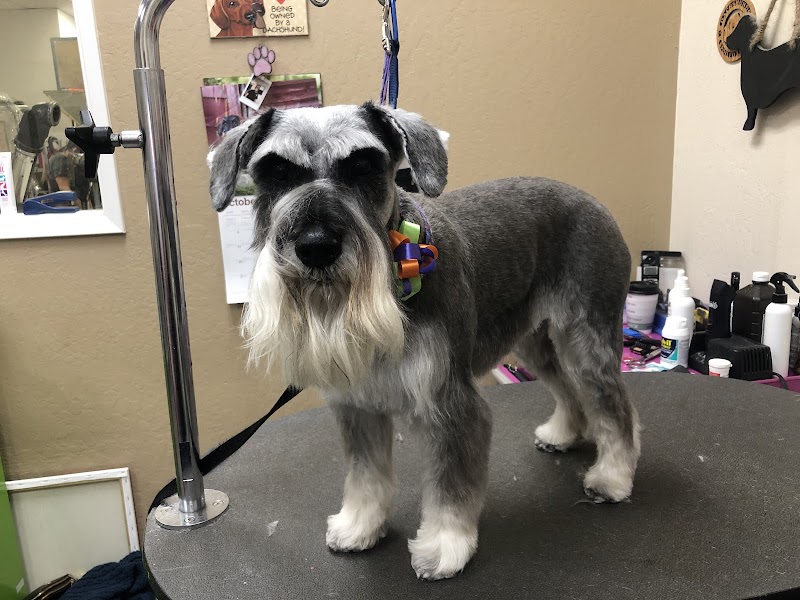 the Groomery cover image