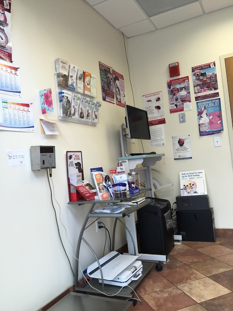 Newport Veterinary Center cover image