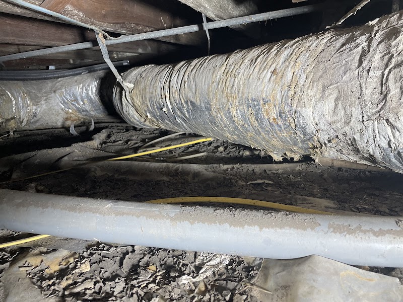 Bolt Electric cover image