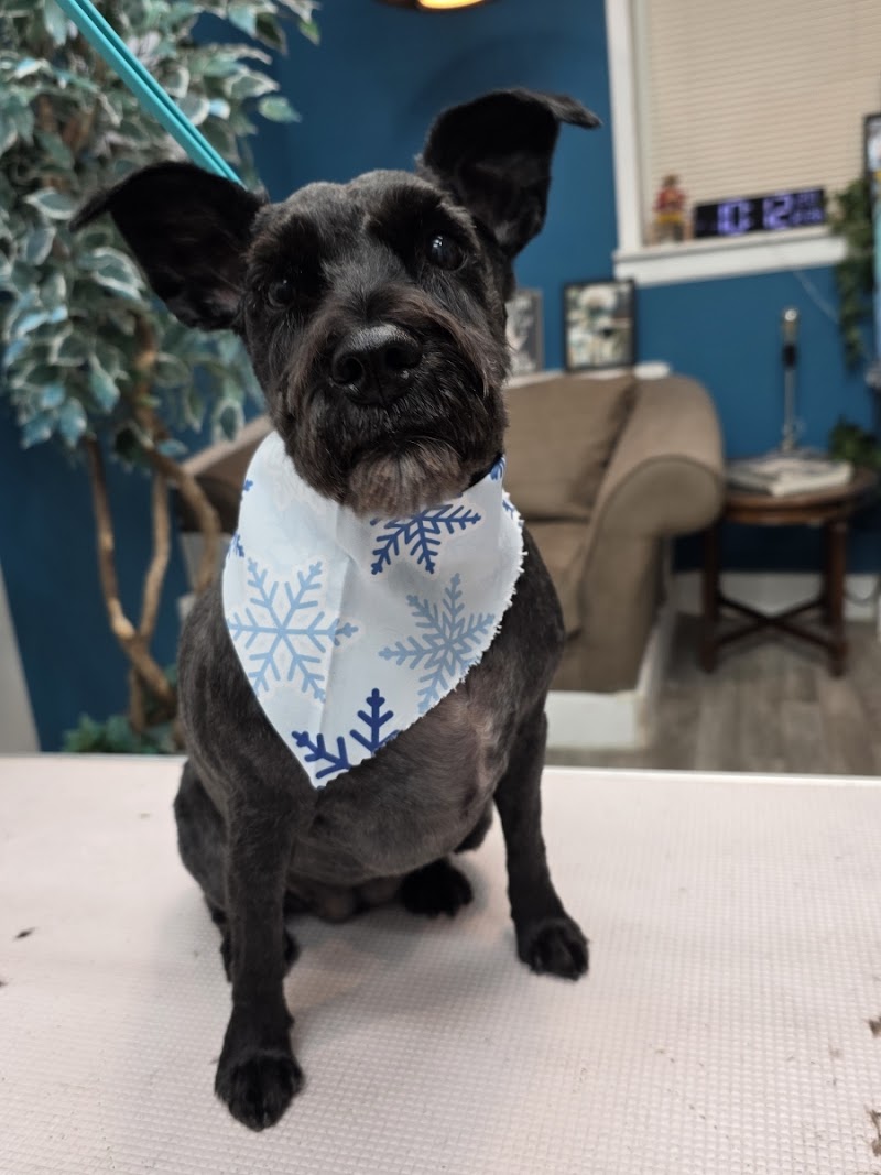 Fuzzies Pet Grooming LLC cover