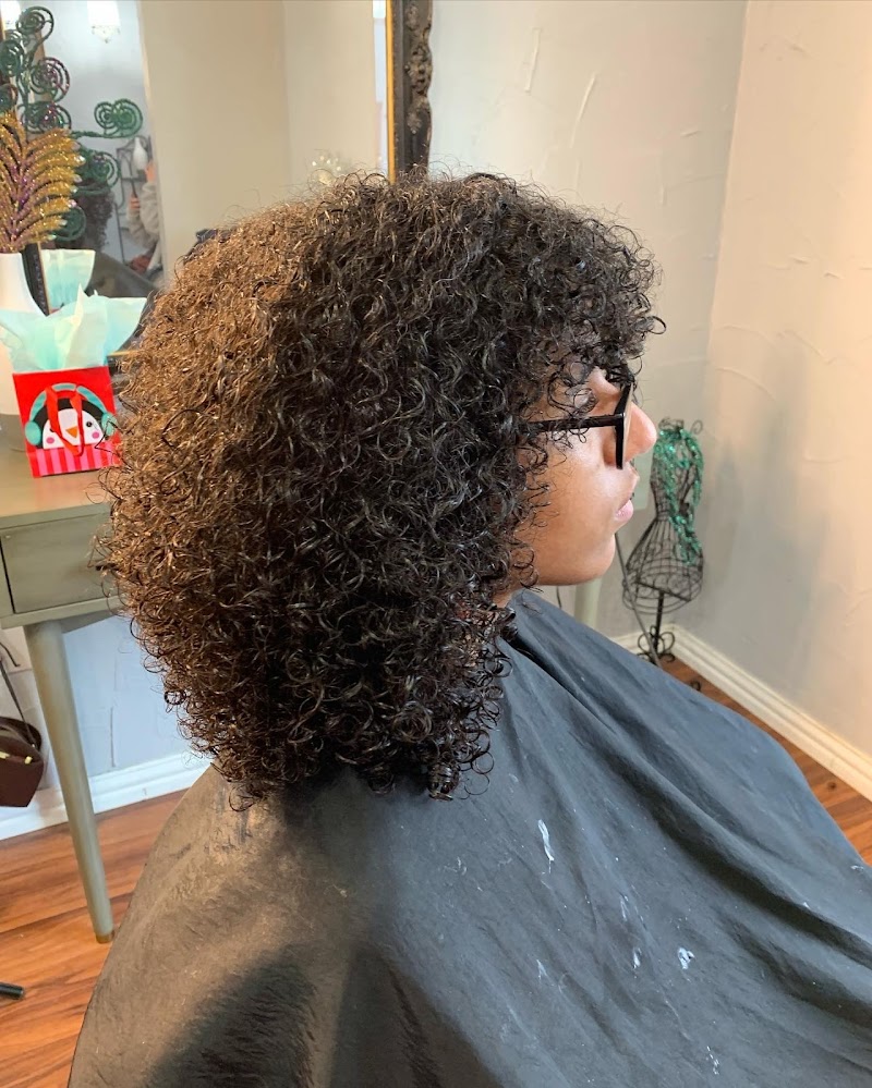 Salon One 21 cover image