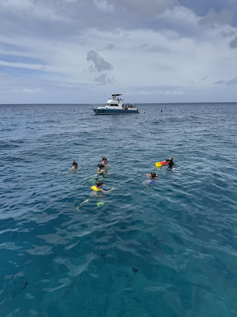 Hawaii Ocean Charters cover image