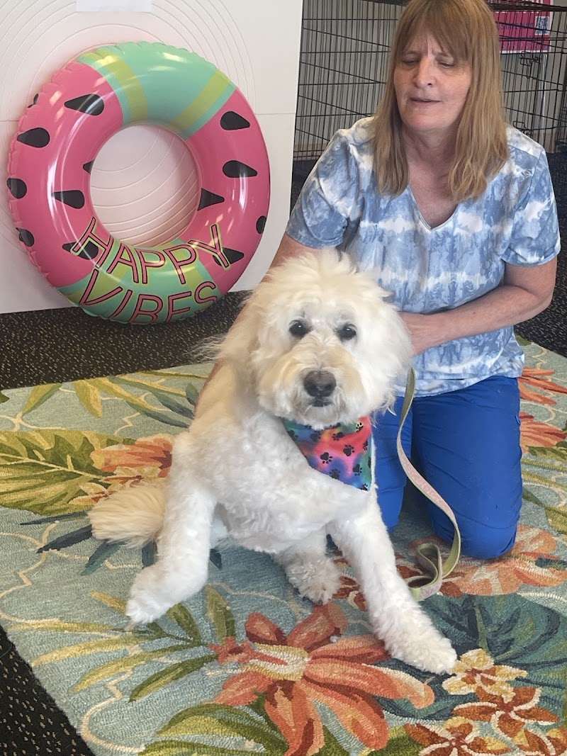 MuddyMutt, Dog Grooming and Spa cover image