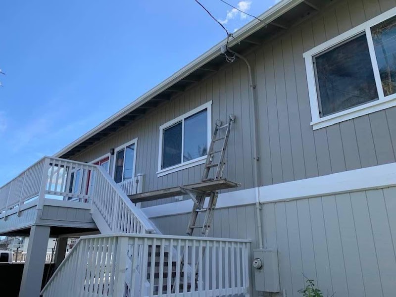 Paradise Painting LLC cover image