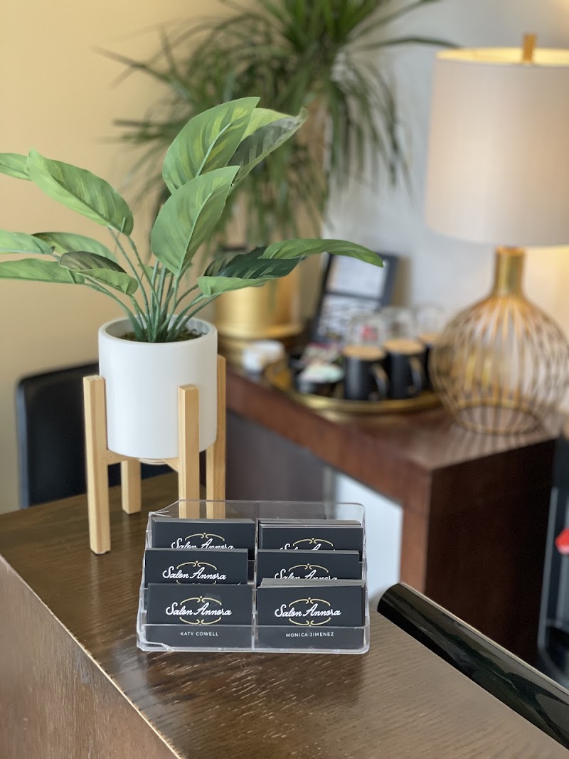 Salon Annora cover image