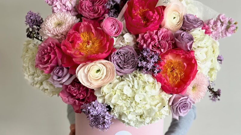 NovaPetal Flower Lab cover image