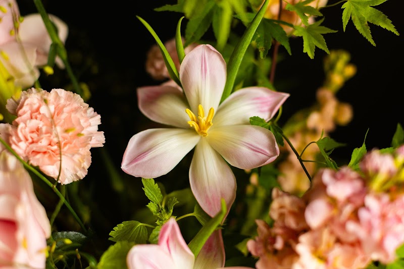 Of the Earth Florals cover image