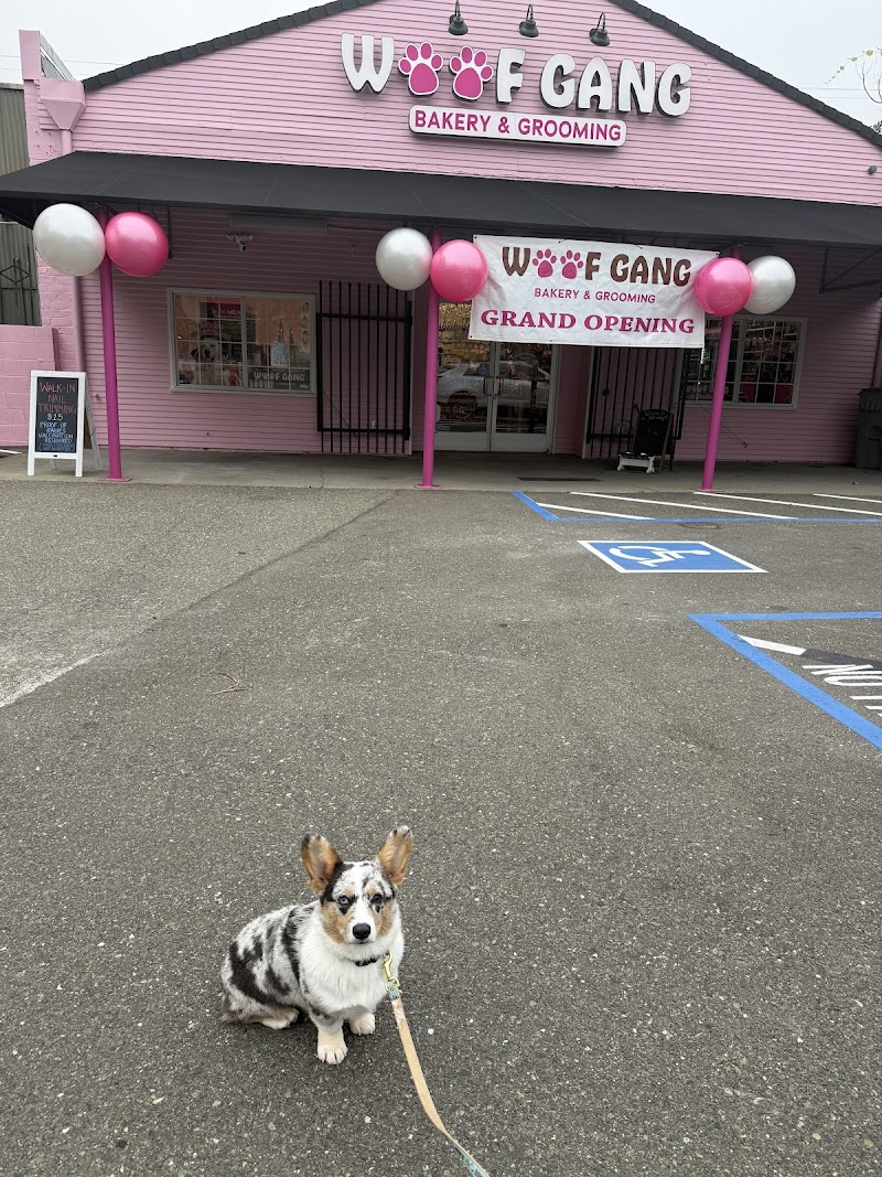 Woof Gang Bakery & Grooming Midtown Sac cover image