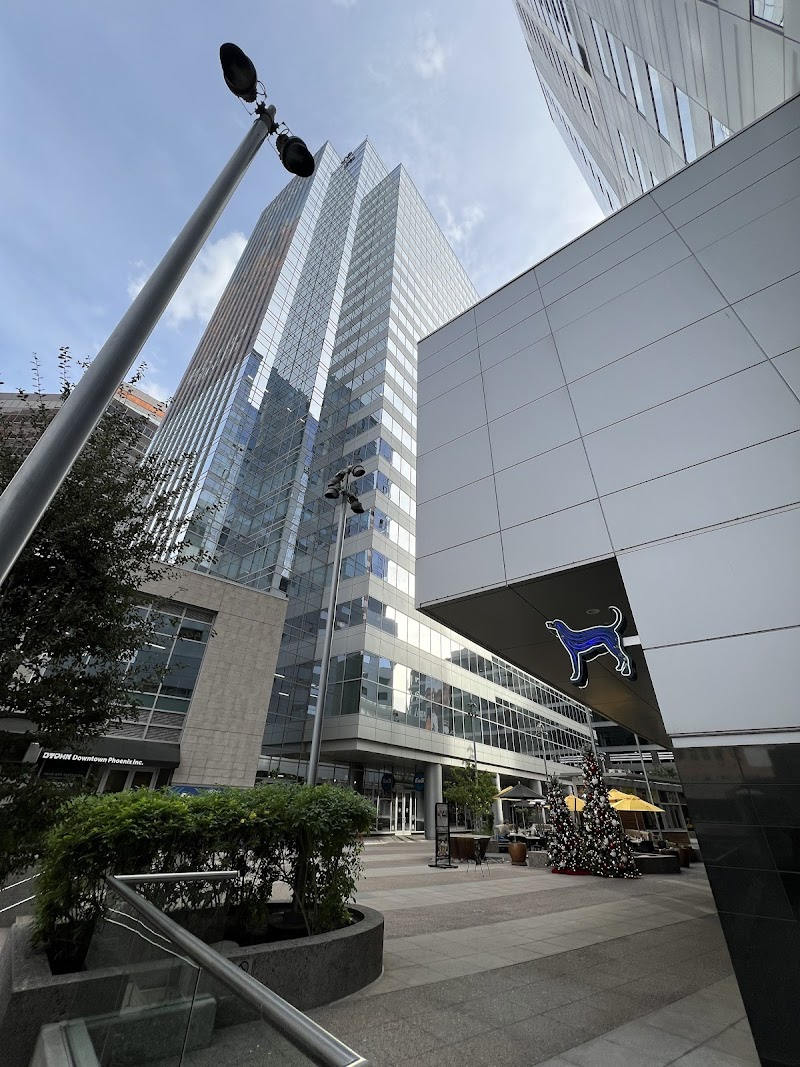 Kelly Law Team Phoenix cover image