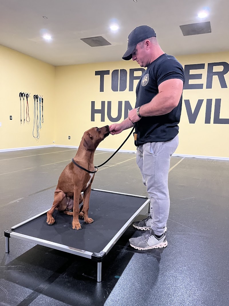 Top Tier K9 - Huntsville cover