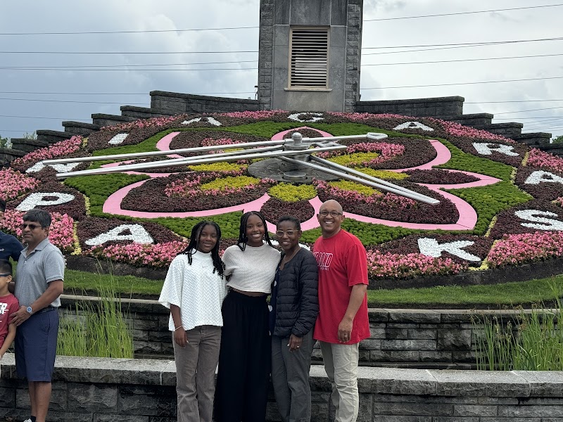 See Sight Tours - Toronto Tours cover